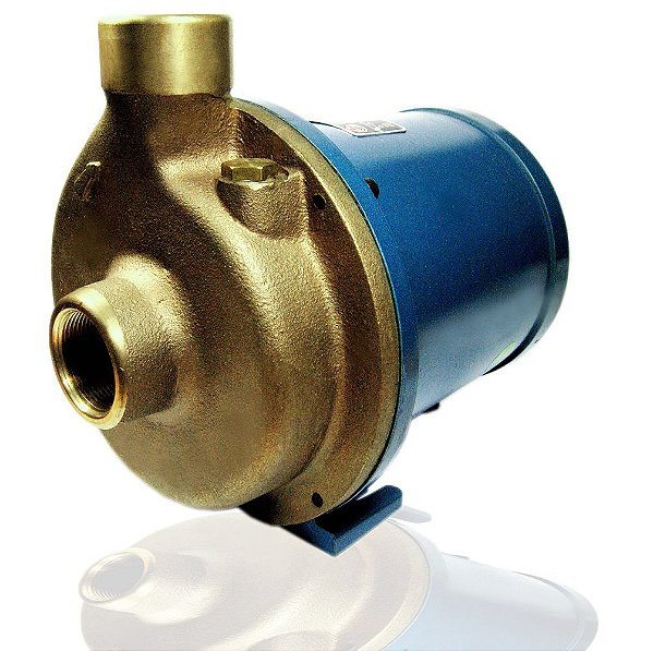 Eletrobomba Sanitária ROWA 20/1 S - Trif - 380V – Alta Vazão