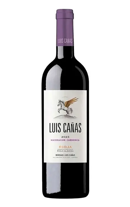 Luis Cañas Rioja