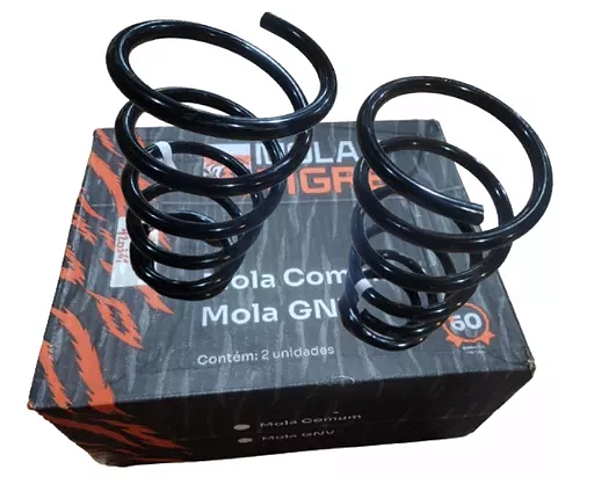 Mola Traseira Palio Todos 2001 Até 2015 Com Gnv Ref.: MTG0036T