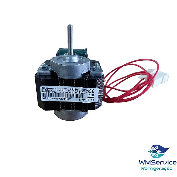 Micro Motor 1/100 220V