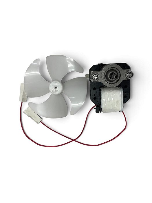 Micro Motor 1/100 220V