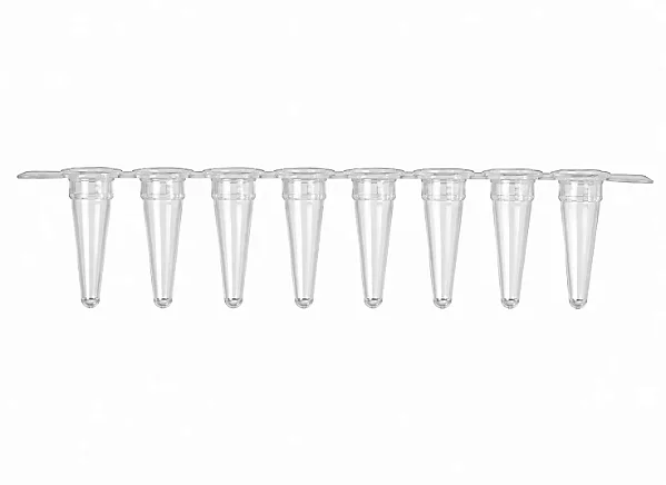 Tira de 8 Tubos para PCR 0,2 mL Não Estéril - Axygen