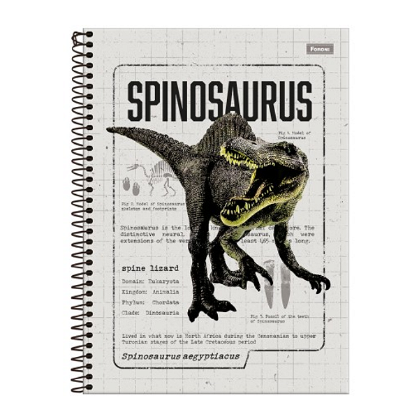 Caderno Universitário Capa Dura 10 matéria/160fls Sauros Jandaia