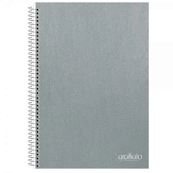 Caderno Espiral Capa dura 1 matéria/120fls Graffiato Prata SD