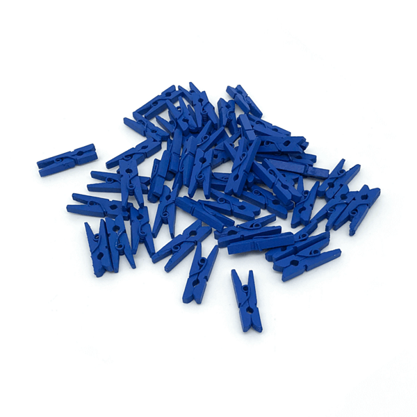 Mini Prendedor de Madeira 2,5cm C/50 peças Interponte