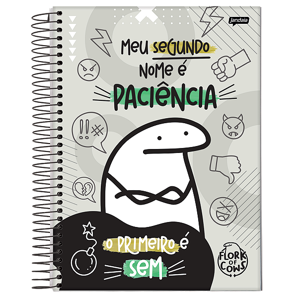 Caderno Espiral Cd The Flork 15mat/250fls Jandaia