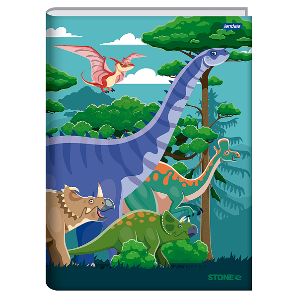 Caderno Brochurão Capa dura 80 folhas S/Pautas Stone jandaia