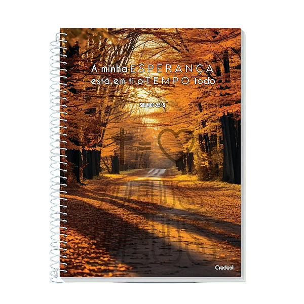 Caderno Espiral Cd 10Mat/160fls Fé Credeal