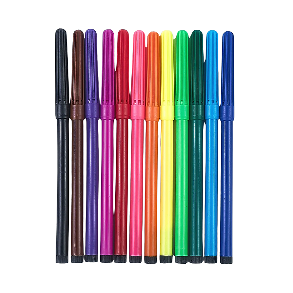 Canetinnha Hidrográfica 12 Cores Futuro