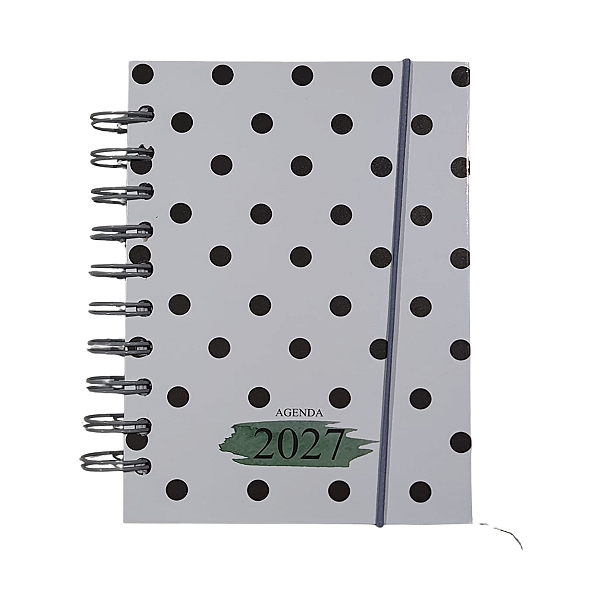 Agenda Pequena 2027 11X15CM Cores Variadas Amigold