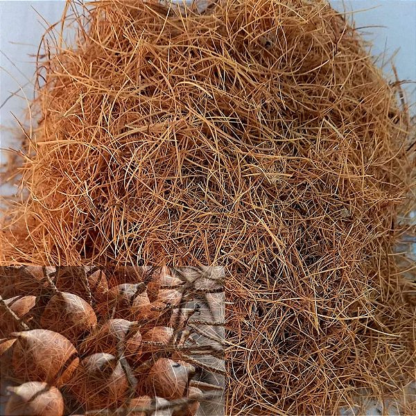 Substrato Fibra de Babaçu - 500g
