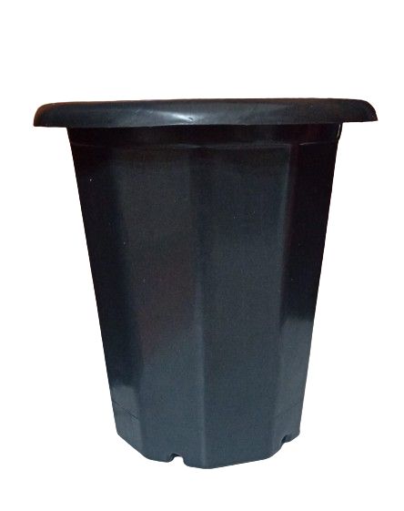 Kit com 3 Vasos Cymbidium P/ Orquídeas, plantas e flores em geral Cor: Preto (2L)