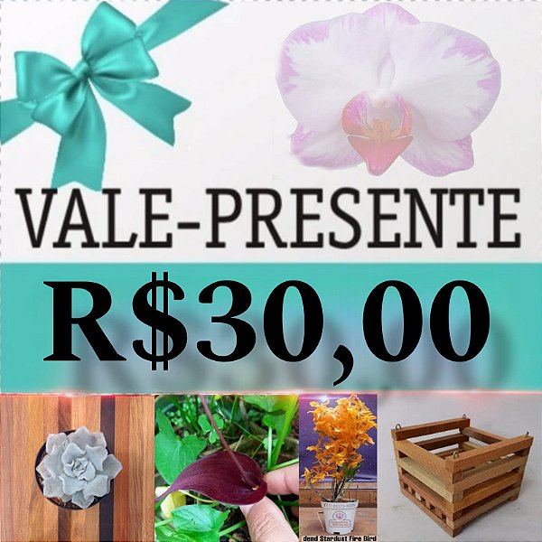 Vale Presente R$ 30,00