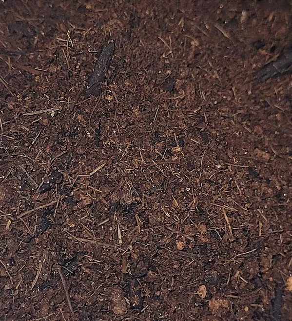 Pó de Coco Para Plantio 1Kg