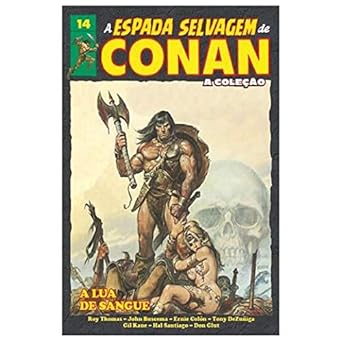 A ESPADA SELVAGEM DE CONAN - A COLEÇÃO – VOL. 14
