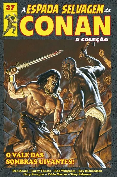 A ESPADA SELVAGEM DE CONAN - A COLEÇÃO – VOL. 37