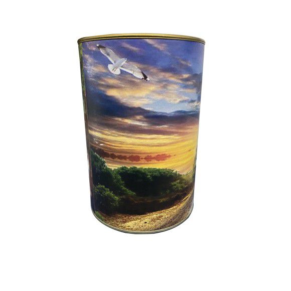 Cofre Doilson 14x10cm - 4