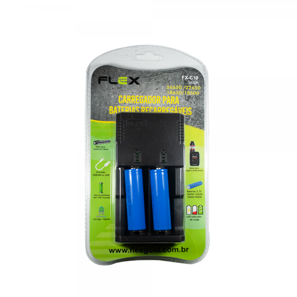 Carregador para Bateria recarregável - FX-C10- DS TOOLS