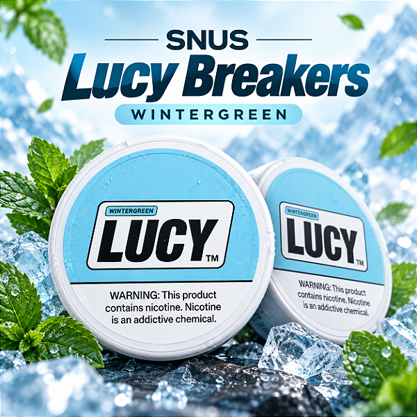 Bolsas de Nicotina Lucy Breakers - Wintergreen