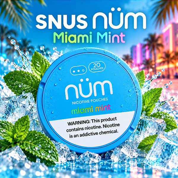 Bolsas de Nicotina Nüm - Miami Mint