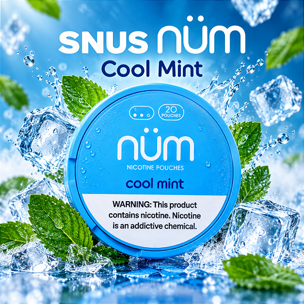 Bolsas de Nicotina Nüm - Cool Mint