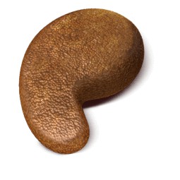 Ração Special Cat Ultralife Castrados Salmão 1KG. SPECIAL DOG. Cod. 150025004004