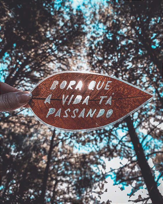 Arte em folha com a frase: "BORA QUE A VIDA TÁ PASSANDO"