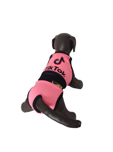 Roupa Pet - Biquini Pet Influencer