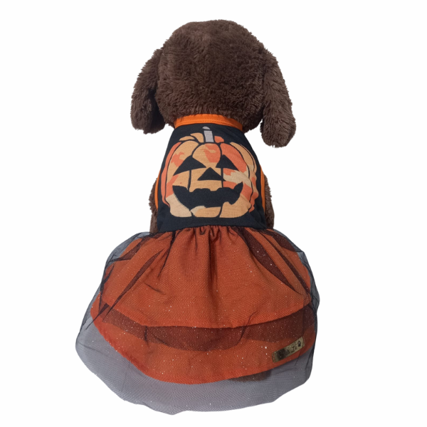 Roupa pet - Vestido Halloween Abobora