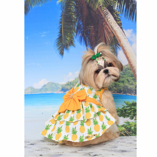 Roupa Pet - Vestido Abacaxi