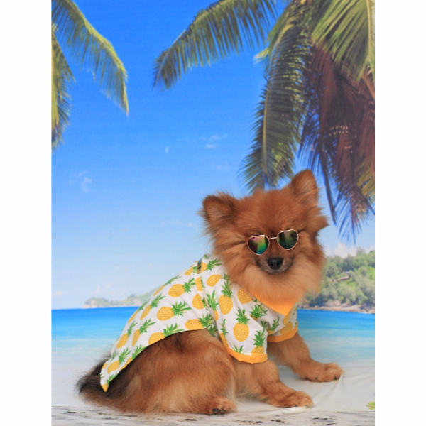 Roupa Pet - Camisa Abacaxi