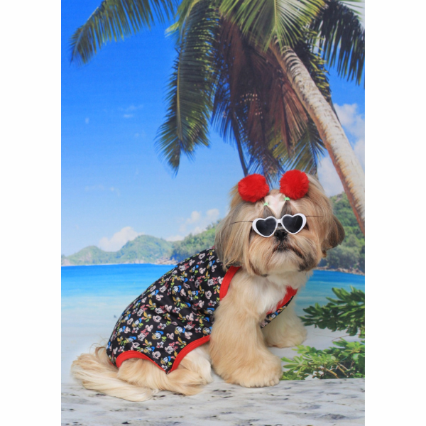 Roupa Pet - Biquini Maio Personagens Praia Tecido Neoprene