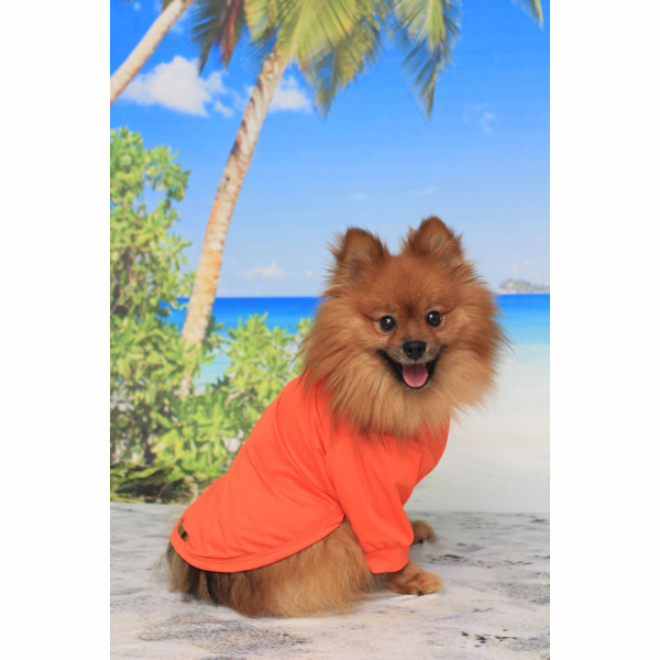 Roupa Pet - Camisa Laranja com Proteção Solar UV50+