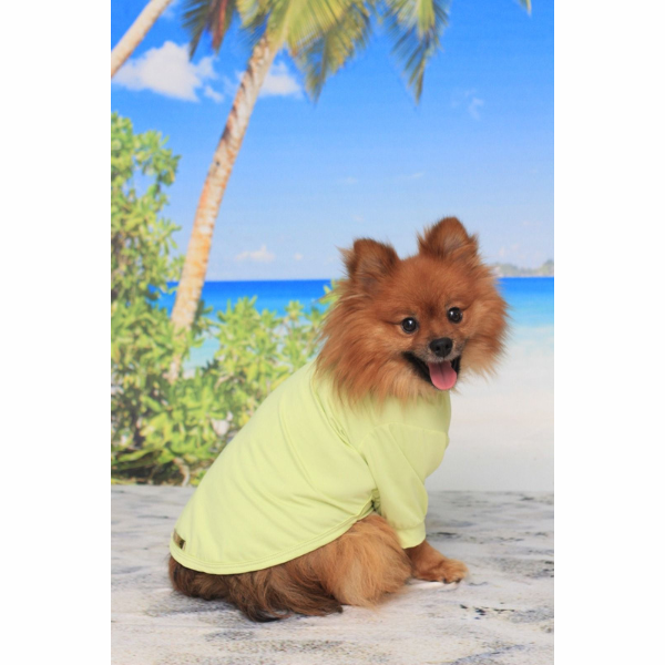 Roupa Pet - Camisa Lima com Proteção Solar UV50+