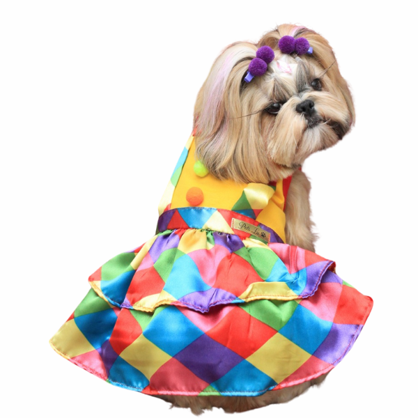 Roupa Pet - Palhaça PomPom Modelo Fantasia