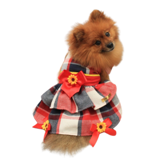 Roupa Pet - Chica Modelo Vestido Festa Junina