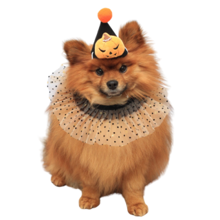 Kit Bandana + Chapéu Halloween Fêmea
