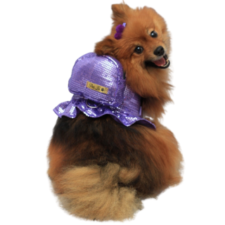 Coleira Peitoral Pet com Mochila e Guia - Tifani