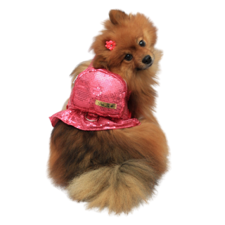 Coleira Peitoral Pet com Mochila e Guia - Dafini