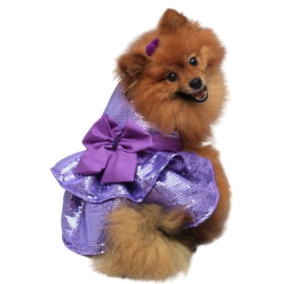 Roupa Pet - Vestido Vandinha