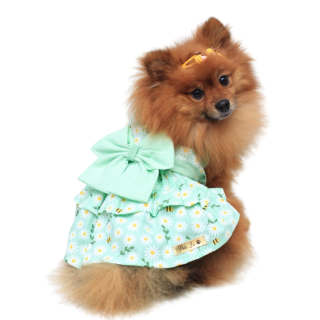 Roupa Pet - Vestido Mel