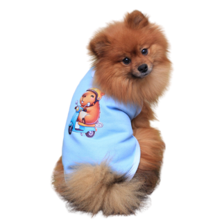 Roupa Pet - Diego Modelo Regata Moletom