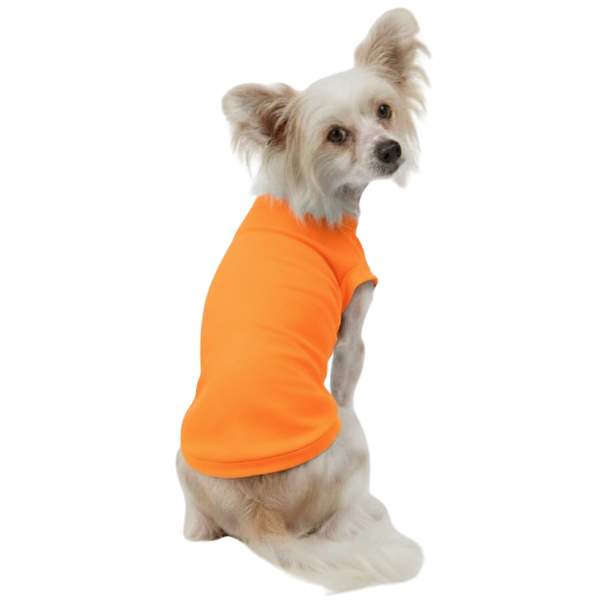 Roupa Pet - Camisa NEON laranja com Proteção Solar UV50+