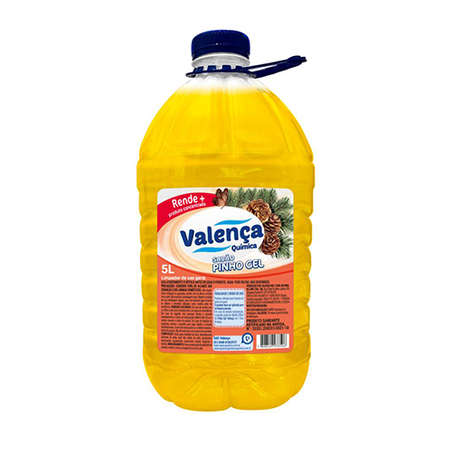 PINHO GEL 5LT 1UN VALENÇA CD4