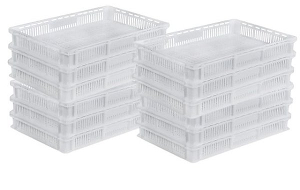 KIT 10 BANDEJAS PLÁSTICA NATURAL CAIXA 10 LITROS EMPILHÁVEL BRANCO CONGELAMENTO