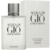 Perfume Acqua Di Gio Giorgio Armani Edt 100ml