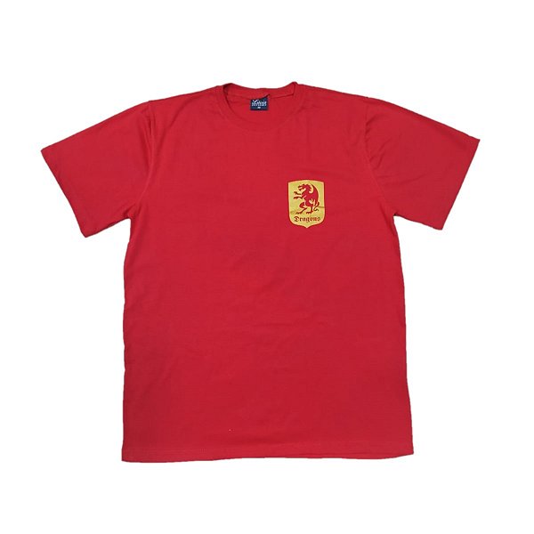 66 RED HOUSE CAMISETA DRAGONS - PAIS
