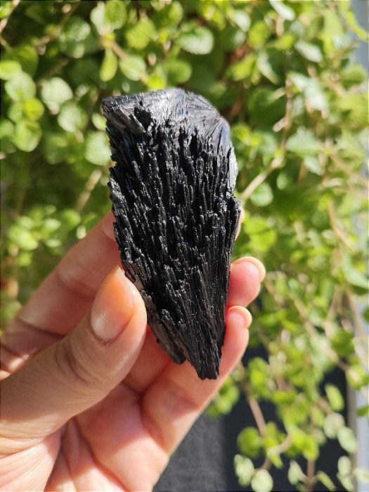 Cianita Negra - Vassoura de Bruxa