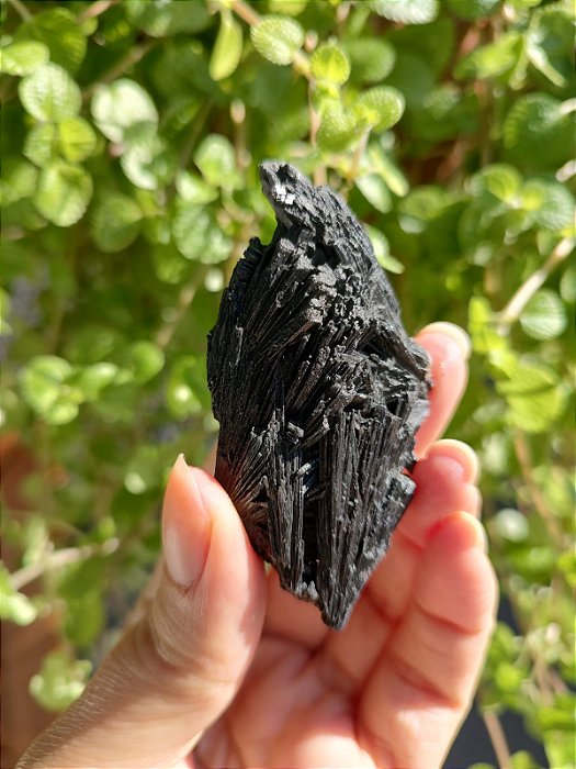 Cianita Negra - Vassoura de Bruxa