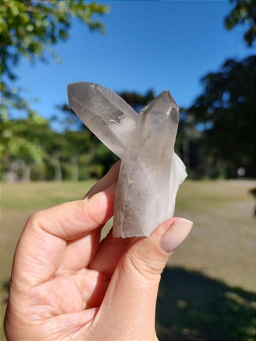 Mestre Ponte Lemuriam